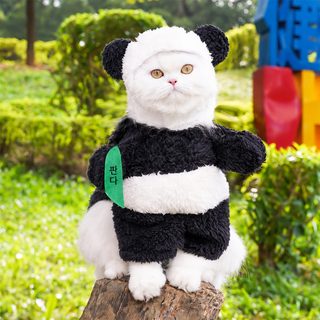 강아지 고양이 판다 변신 코스튬 겨울 옷 중소형견 테디 비숑 코믹 반려동