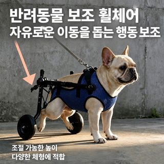 애완견 뒷다리 휠체어 재활 보행 보조기 마비·노령견용 조력차