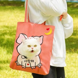 펫 외출 가방 숄더백 크로스백 캐릭터 가볍고 휴대용 고양이 강아지 용품