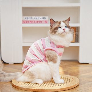 여름 슬라브 얇은 고양이 옷 털 제거 방지 시원한 옷 애완동물 견인 배 보호 더러운 옷 에어컨 옷