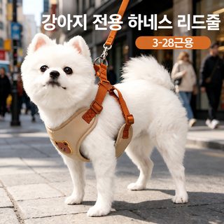 강아지 고양이 공용 애완동물 견인줄 귀여운 곰돌이 가슴 멜빵은 중소형 외