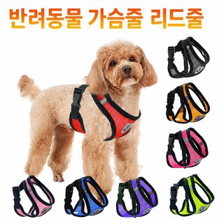 애완동물 산책 개 미끄럼 고양이 가슴 멜빵 야외 견인 개 밧줄 목걸이 옷 폭