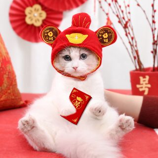 강아지 고양이 보온 모자 머리띠 반려동물 코스튬 장식 사계절 귀여운 변신