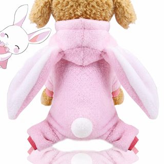 강아지 고양이 겨울옷 긴귀 토끼 변신 코스튬 플란넬 올인원 비숑 웰시코기