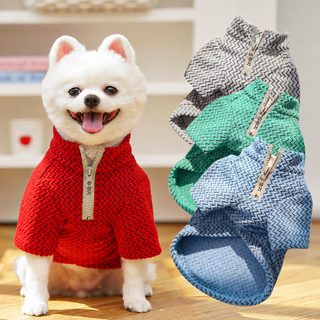 트렌디한 코트 가을 겨울 코트 스웨이드 애완동물 고양이 옷 의류 용품 크