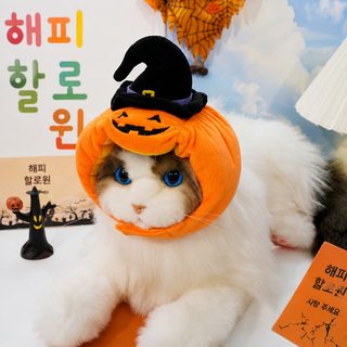 애완동물 모자 할로윈 괴상한 강아지 호박 모자 개 복식 고양이 변신 투구