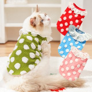 가을 겨울 신상 고양이 옷 용품 고양이 애완동물 테디 비숑 보쉐너리 큰 강아지 옷 영단 블루 고양이