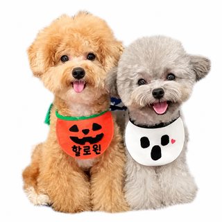 강아지 고양이 침수건 턱받이 배주머니 호박귀신의 날 고양이 크리스마스