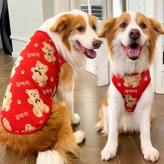 큰 강아지 봄여름 조끼 옷 애완동물 용품 강아지 고양이 큰 곰 프린트 코키
