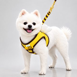 작은 벌 고양이 강아지 가슴 멜빵 애완동물 가슴 멜빵 용품 야외 산책 견인