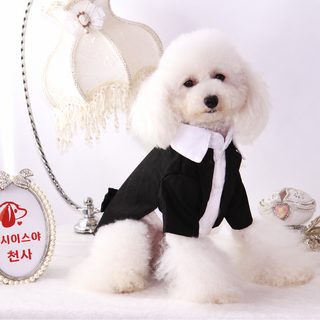 강아지 고양이 턱시도 정장 가짜 투피스 비숑 포메라니안 반려동물 영국풍
