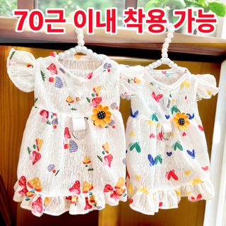 펫 고양이 견인 외출 가능 하트 여름 원피스 강아지 고양이 용품 코키 개 옷