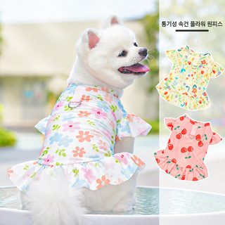 펫 옷 고양이 강아지 프린트 원피스 중대형견 캐릭터 러블리 공주치마 펫룩