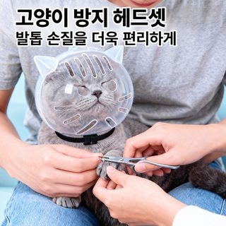 고양이 우주선 넥카라 핥기 물기 긁기 방지 투명 구형 엘리자베스 보호대