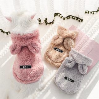 아마존 가을 겨울 애완동물 옷 후드티 법두 테디 비숑 고양이 강아지 옷 용