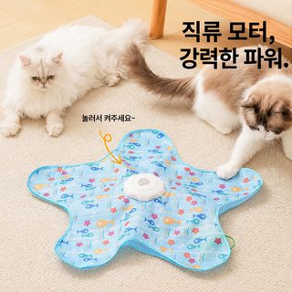 고양이 전동 사냥놀이 장난감 오각별 물고기 숨바꼭질 덮개 자동 공 낚싯대