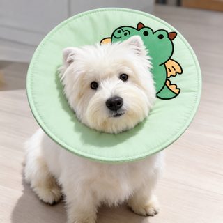 신형 만화 엽기 조형 애완동물 엘리자베스 링 고양이 개 목걸이 핥기 방지 머리띠 애완동물 보호대 용품