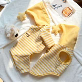 고양이 가을겨울옷 후드 노랑 흰색 스트라이프 별무늬 하네스 조끼·올인원