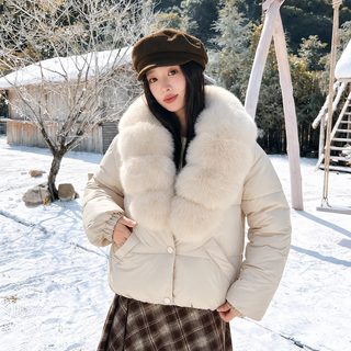 큰 터틀넥 짧은 면복 여성 신상 크로스보더 2026 겨울 두께 더하면 날씬해 보인다 백합 보온 면옷 외투 현물