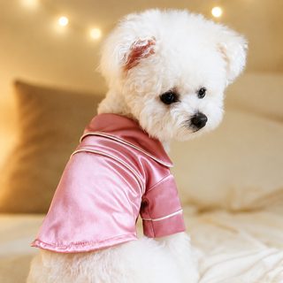PETCIRCLE 강아지 고양이 여름 잠옷 실크풍 투레그 반려동물 의류