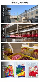 10인치 무광 라텍스 풍선 100개입 두꺼운 원형 컬러 풍선 생일 파티 장식