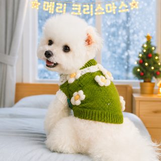 PETCIRCLE 가을과 겨울 따뜻하고 편안한 강아지 스웨터 옷 애완동물 고양이 옷 따뜻하고 크리스마스