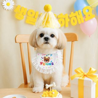 강아지 고양이 애완동물 턱받이 목도리 목도리 침수건 집합 삼각수건 소형견 생일파티 사진