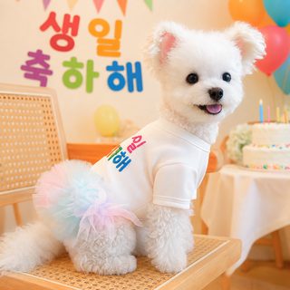 반려견 옷 중소형 의상 생일 치마 공주 강아지 발레 파우더 치마자락 부활절 분장