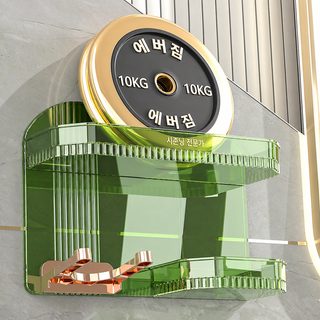 높은 용모치 펀치 면제 욕실 진열대 가벼운 사치 스타일 PET 재질 견고한 드