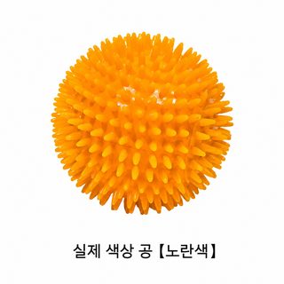TPR 강아지 삑삑이 공 장난감 치석 제거 반려견 이갈이 장난감