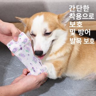 강아지 장화 테디 신발 방수 애완동물 방수 소형 중형견 비곰 발커버 자착