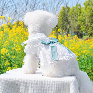 PETCIRCLE 강아지 원피스 봄여름 중소형견 통기성 리본 펀칭 스커트 XS-XL
