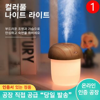 버섯 가습기 소형 휴대용 차량용 가정용 풍부한 분무량 미니 USB 초음파 아