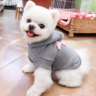 PETCIRCLE宠物圈宠物狗猫猫衣服服装秋冬毛衣柔软舒适海星