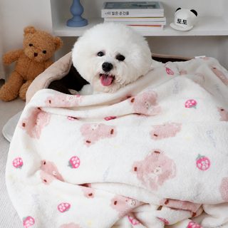 반려견 겨울 보온 담요 강아지 수면 이불 딸기곰 캐릭터 소형견용 사계절