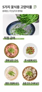 고양이 캣그라스 헤어볼 배출 도움 소화 케어 직접 키우는 고양이풀 간식