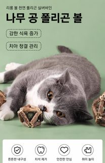 고양이 장난감 이빨 가는 방망이 나무 여뀌 고양이 박하 방울 공 고양이 방