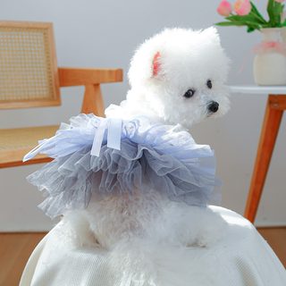 PETCIRCLE 펫시터 중소형견 옷 애완용품 애완견 옷 안드로메다 웨딩드레스