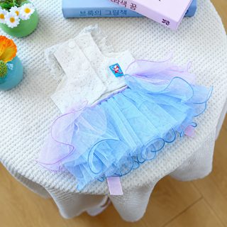 PETCIRCLE 펫시터 중소형견 옷 애완용품 애완견 옷 싱다이 몽환사 스커트