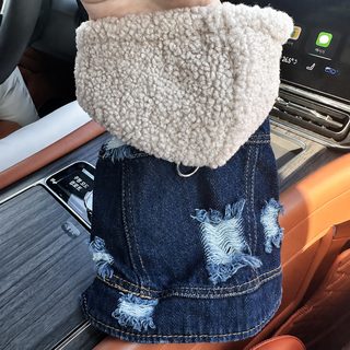 PETCIRCLE 애완동물 옷 강아지 고양이 옷 옷 옷 멋있다 귀엽다 록 멋있다 데님 옷 집합
