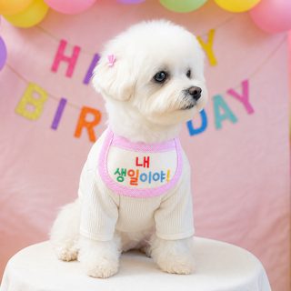 PETCIRCLE 반려견 고양이 침수건 턱받이 생일파티 포토 신기