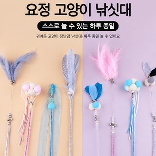 선녀가 고양이 방망이를 놀리다 고양이 장난감 오락 스스로 답답함을 풀다