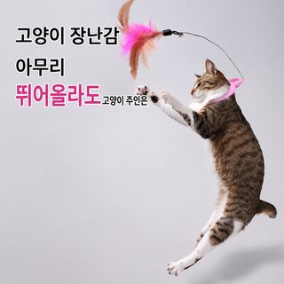 고양이 낚싯대 장난감 혼자 노는 깃털 방울 목걸이형 내구성 반려묘 놀이용
