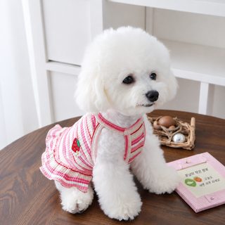 공장 도매 강아지 옷 여름 얇은 테디 신상 딸기 끈 여름 비숑 강아지 두 발
