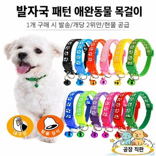 고양이 개 공용 강아지 고양이 목걸이 중소형견 테디는 애완동물 견인줄 목