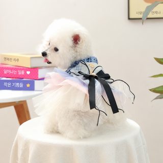 宠物衣服秋冬款小型犬幼犬快乐狗猫保暖舒适服饰彩色香风裙-蓝