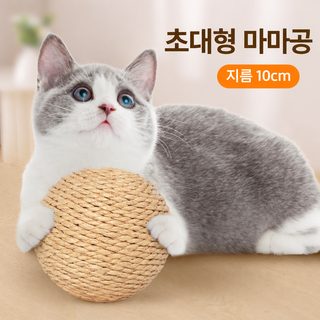 고양이 사이잘 공 장난감 4.5·6·10cm 혼자 노는 깨물기 스트레스 해소 인터랙