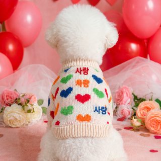 애완동물 옷 가을 겨울 소형 개 새끼 개 즐거움 개 고양이 보온 편안 복식 컬러 사랑 스웨터