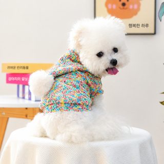 애완동물 옷 가을/겨울 소형견 유견 쾌락 개 고양이 보온 편안 복식 컬러 설탕 콩 모자 셔츠