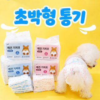 공장 도매 개 오줌 안 젖은 암캐 생리 바지 수컷 개 전용 개 필수 오줌 매트